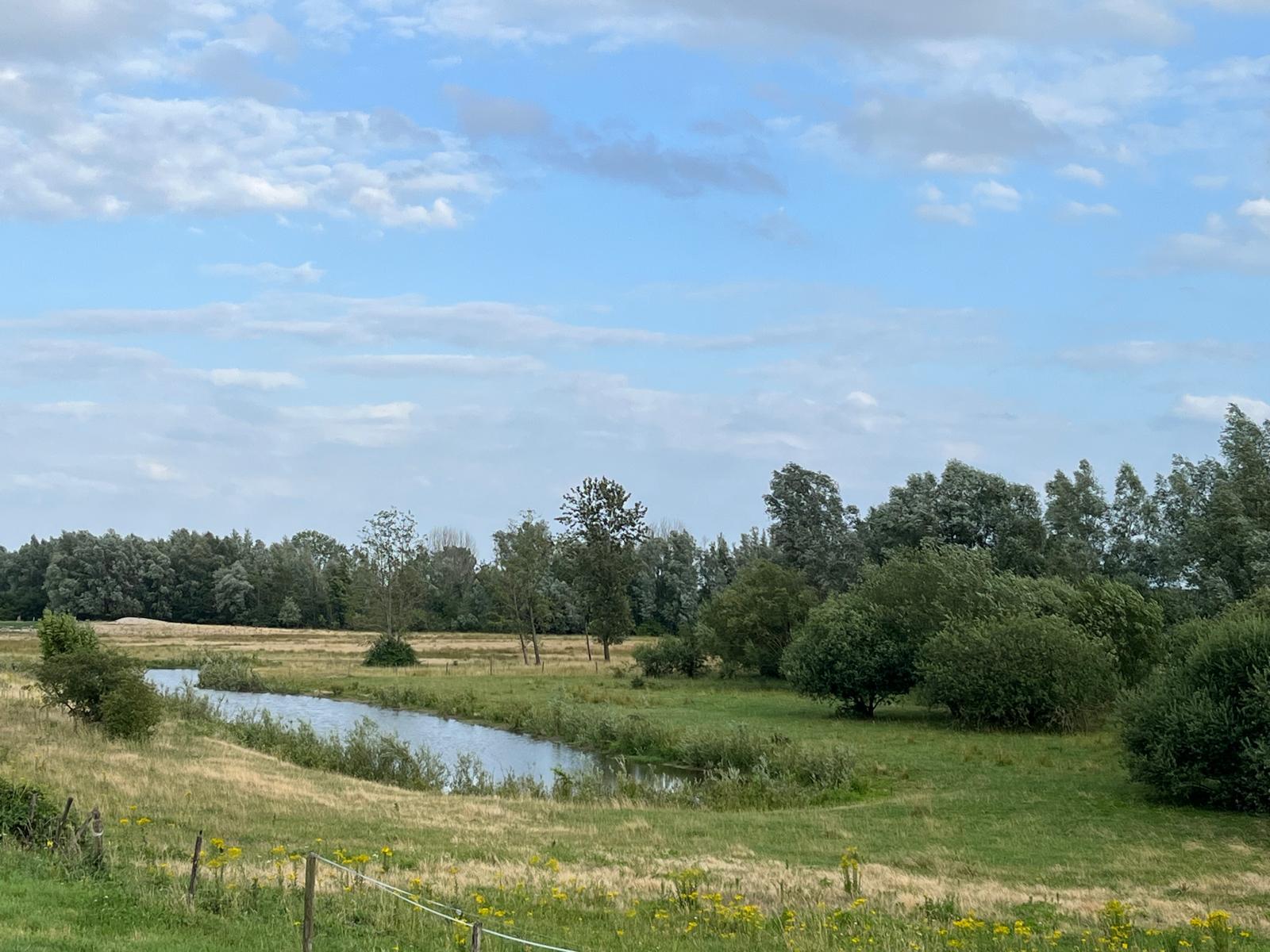 Koningsven